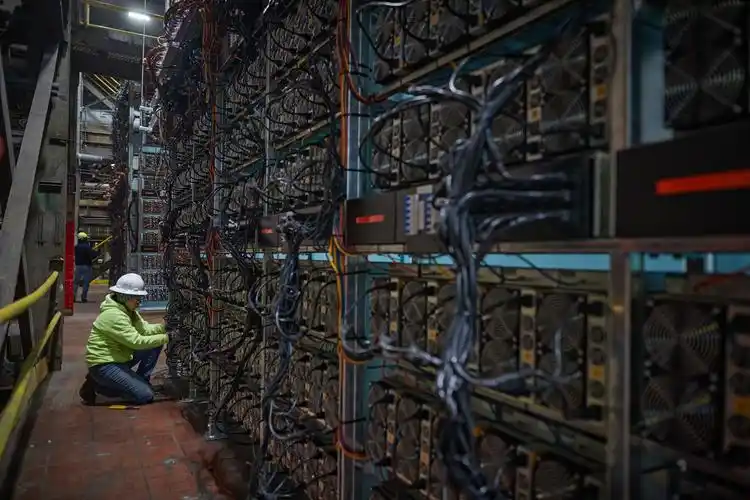 A sprawling mining farm showcasing rows of mining rigs under efficient cooling systems