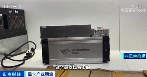 Cutting-edge mining rig setup