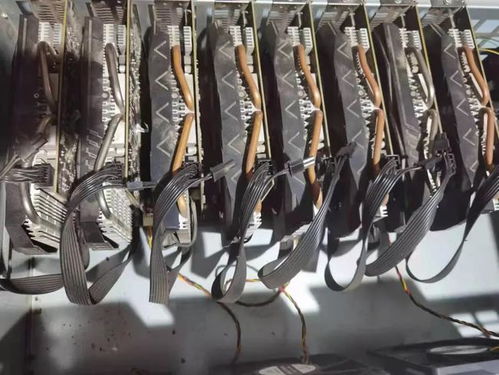 Mining Rigs running in a professional environment