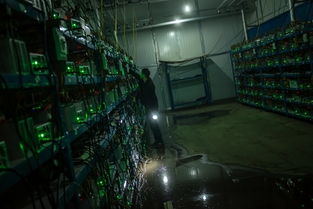 A powerful mining rig with multiple GPUs indicates the importance of hardware in cryptocurrency mining.