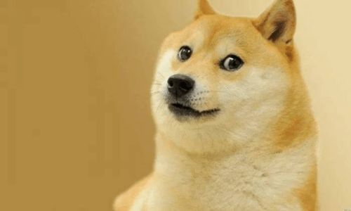 Dogecoin mining hosting in France